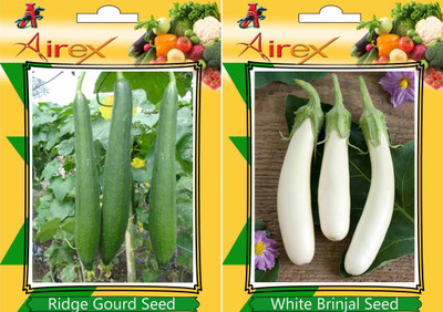 

Airex Ridge Gourd, White Brinjal Seed(25 per packet)