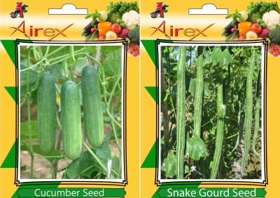 Airex Cucumber, Snake Gourd Seed(25 per packet)