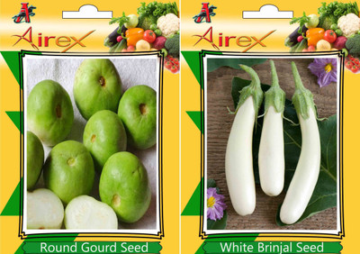 Airex Round Gourd, White Brinjal Seed(15 per packet)