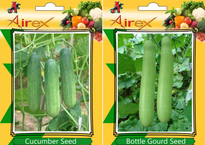 Airex Cucumber, Bottle Gourd Seed(15 per packet)