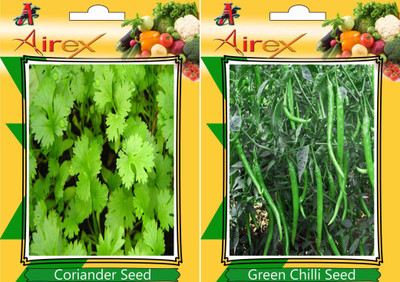 Airex Coriander, Green Chilli Seed(15 per packet)