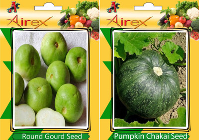 

Airex Round Gourd and Pumpkin Vegetables Seed + Humic Acid Fertilizer (For Growth of All Plant and Better Responce) 15 gm Humic Acid + Pack Of 30 Seed Round Gourd + 30 Pumpkin Seed(30 per packet)