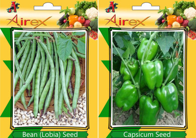 Airex Bean (Lobia), Capsicum Seed(25 per packet)