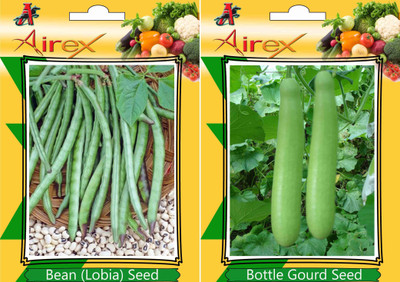 Airex Bean (Lobia), Bottle Gourd Seed(25 per packet)