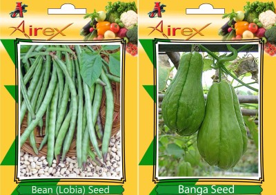 Airex Lobia, Banga Seed(15 per packet)