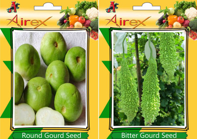 Airex Round Gourd, Bitter Gourd Seed(15 per packet)