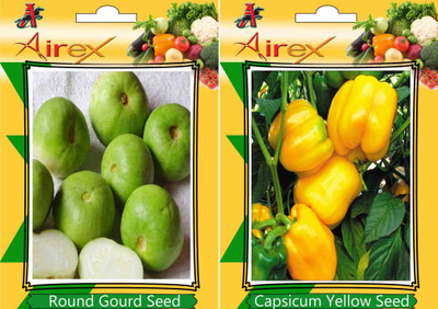 Airex Round Gourd, Yellow Capsicum Seed(15 per packet)