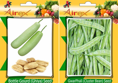 

AIrex Bottle Gourd, Cluster Bean Seed(15 per packet)