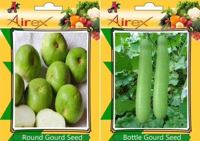 Airex Round Gourd, Bottle Gourd Seed(25 per packet)