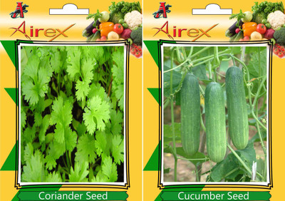 Airex Coriander, Cucumber Seed(15 per packet)