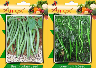 Airex Bean (Lobia), Green Chilli Seed(15 per packet)