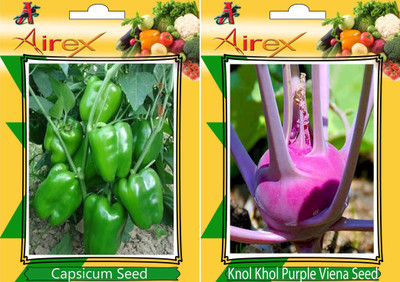 

Airex Green Capsicum, Knol Khol Purple Viena Seed(15 per packet)