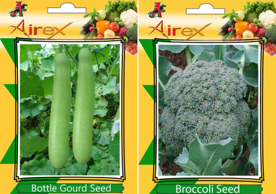 

Airex Bottle Gourd and Broccoli Vegetables Seeds (Pack Of 15 Seeds * 2 Per Packet) Seed(15 per packet)