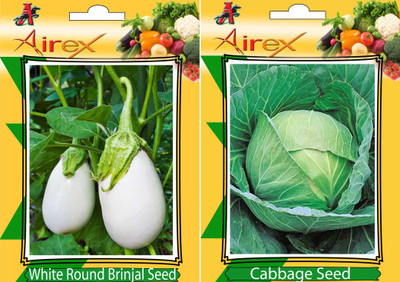 

Airex White Round Brinjal and Cabbage Vegetables Seeds (Pack Of 20 Seeds * 2 Per Packet) Seed(20 per packet)