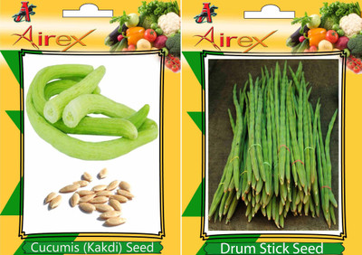 

Airex Cucumis, Drum Stick Seed(20 per packet)