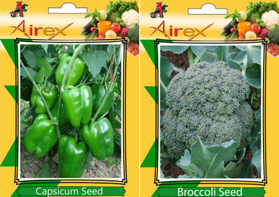 Airex Green Capsicum, Broccoli Seed(25 per packet)