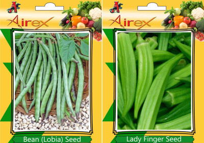 

Airex Bean (Lobia), Lady Finger Seed(15 per packet)
