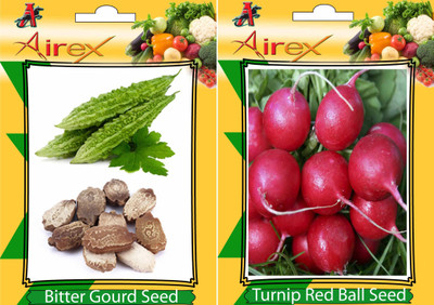 

Airex Bitter Gourd and Turnip Red Ball Vegetables Seed + Humic Acid Fertilizer (For Growth of All Plant and Better Responce) 15 gm Humic Acid + Pack Of 30 Seed Bitter Gourd + 30 Turnip Red Ball Seed(30 per packet)