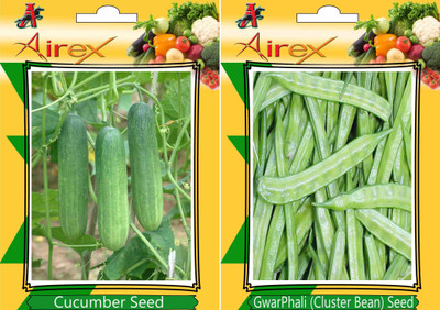 Airex Cucumber, Cluster Bean Seed(25 per packet)
