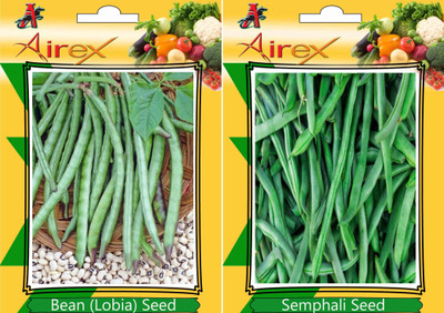 Airex Bean (Lobia), Semphali Seed(25 per packet)