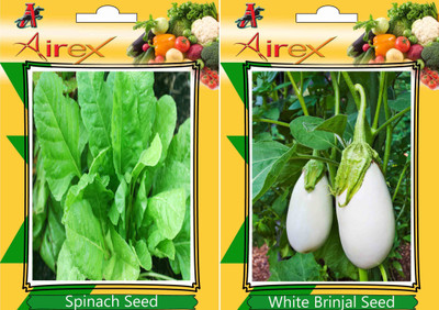 Airex Spinach, White Brinjal Seed(15 per packet)