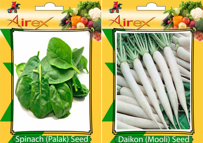 

Airex Spinach (Palak), Daikon (Mooli) Seed(25 per packet)
