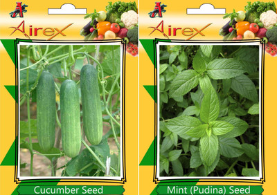 

Airex Cucumber, Mint Seed(15 per packet)