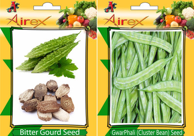 Airex Bitter Gourd, Cluster Bean Seed(25 per packet)