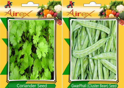 Airex Coriander, Cluster Bean Seed(25 per packet)