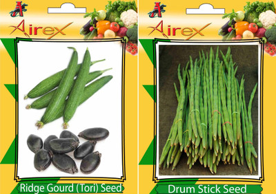 

AIrex Ridge Gourd (Tori), Drum Stick Seed(20 per packet)