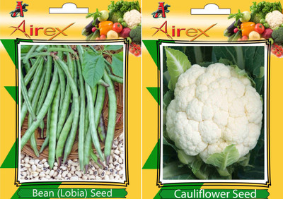 

Airex Lobia, Cauliflower (Phool Ghobi) Seed(15 per packet)