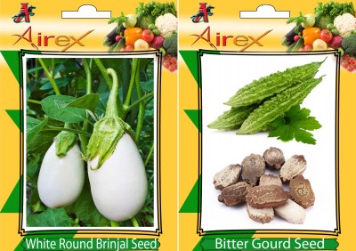 Airex White Round Brinjal, Bitter Gourd Seed(20 per packet)