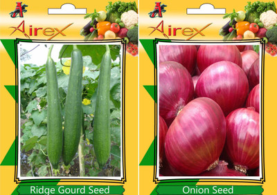 

Airex Ridge Gourd, Onion Seed(25 per packet)