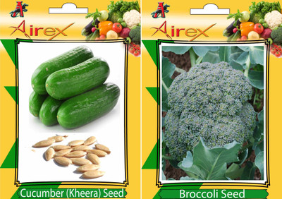 

Airex Cucumber (Kheera), Broccoli Seed(15 per packet)