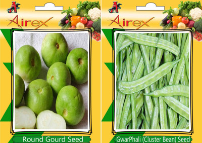 Airex Round Gourd, Cluster Bean Seed(25 per packet)