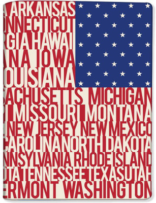 

Nutcaseshop USA Flag With Star(Multicolor)