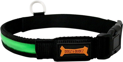 

dogz & dudez Dog Everyday Collar(, NEON GREEN
