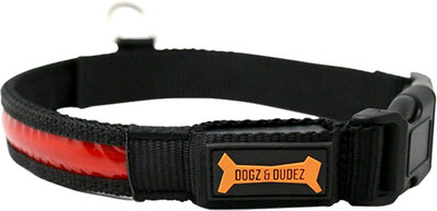 

dogz & dudez Dog Everyday Collar(, NEON RED, NEON GREEN, NEON BLUE, NEON ORANGE, NEON PINK, Neon blue;neon green;neon orange;neon pink;neon red