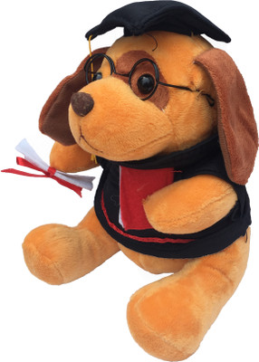 

ClueSteps Your Vakeel (Advocate) Teddy Educated Dog - 20 cm(Brown)