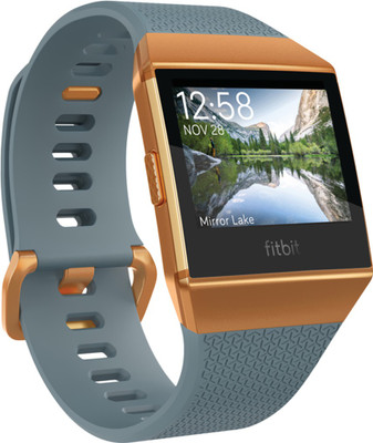 

Fitbit Ionic Burnt Orange Smartwatch(Grey Strap Regular)