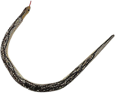 DESI KARIGAR Small Snakes For Children(Multicolor) DESI KARIGAR Small Snakes For Children(Multicolor)