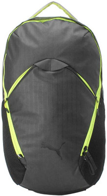 

Puma Ultimate Pro Backpack 25 L Backpack(Grey, Green), Steel gray