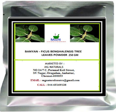 

MGBN BANYAN - FICUS BENGHALENSIS TREE LEAVES POWDER-250 GM(250 g)