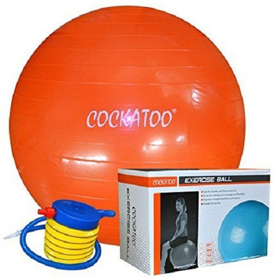 

COCKATOO Puncture Proof Gym Ball(With Pump), Orange