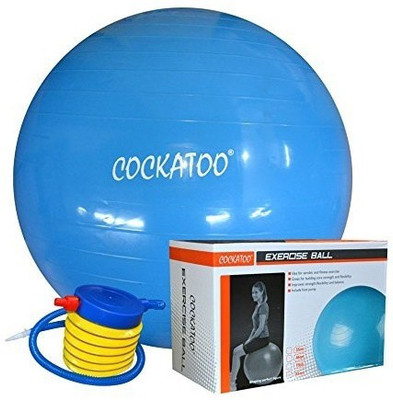

COCKATOO Puncture Proof Gym Ball(With Pump), Blue