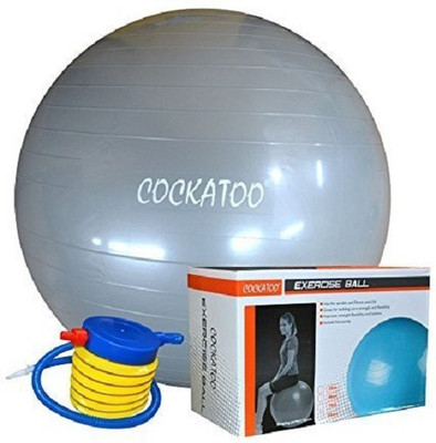 

COCKATOO Puncture Proof Gym Ball(With Pump), Grey