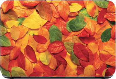 

Flipkart SmartBuy Autumn Season Leaves Premium LG Vinyl (matte) Laptop Decal 13.3