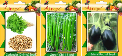 Airex Coriander, Green Chilli and Brinjal Round Vegetables Seed (Pack Of 15 Seed Coriander + 15 Green Chilli + 15 Brinjal Round Seed) Seed(15 per packet)