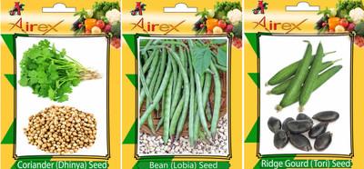 

Airex Coriander, Lobia and Ridge Gourd Vegetables Seed (Pack Of 20 Seed Coriander + 20 Lobia + 20 Ridge Gourd Seed) Seed(20 per packet)