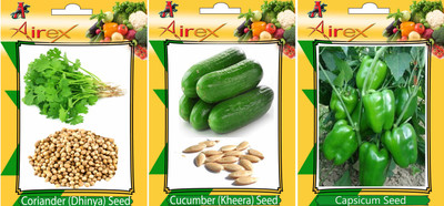 Airex Coriander, Cucumber and Green Capsicum Vegetables Seed (Pack Of 15 Seed Coriander + 15 Cucumber + 15 Green Capsicum Seed) Seed(15 per packet)